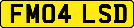 FM04LSD