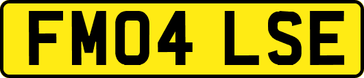 FM04LSE