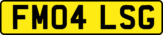 FM04LSG