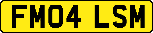 FM04LSM