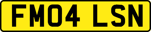 FM04LSN