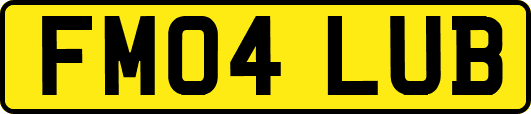 FM04LUB