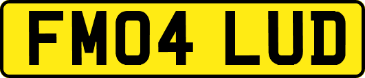FM04LUD