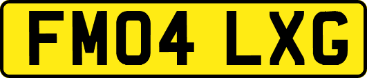 FM04LXG