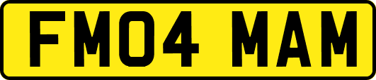 FM04MAM