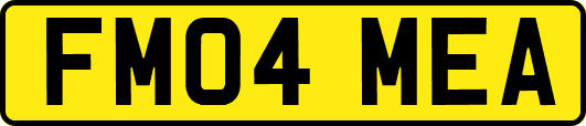 FM04MEA