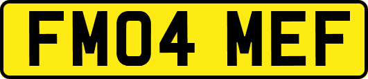 FM04MEF