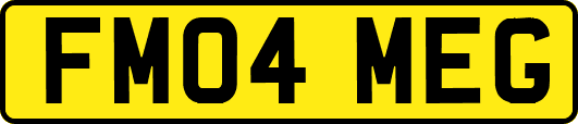 FM04MEG