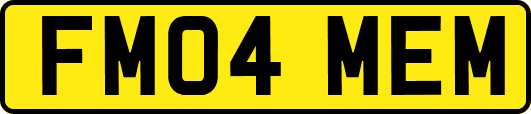FM04MEM