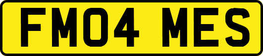 FM04MES