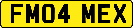 FM04MEX