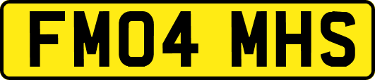 FM04MHS