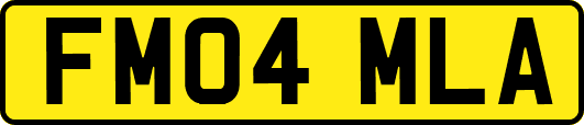 FM04MLA