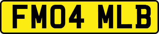 FM04MLB