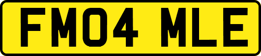 FM04MLE