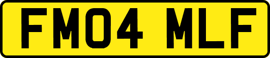 FM04MLF