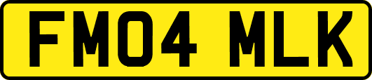 FM04MLK