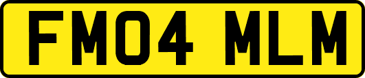 FM04MLM