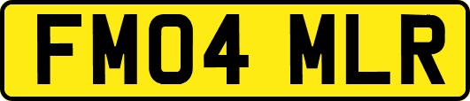 FM04MLR