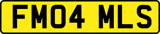 FM04MLS