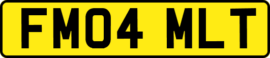 FM04MLT