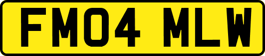 FM04MLW