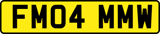 FM04MMW