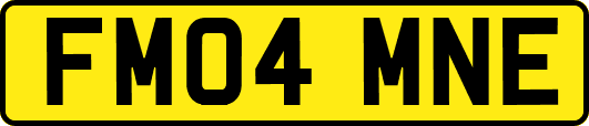 FM04MNE