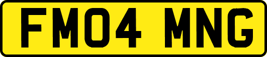 FM04MNG