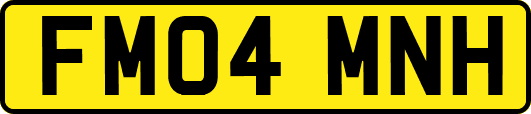 FM04MNH
