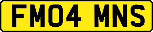 FM04MNS