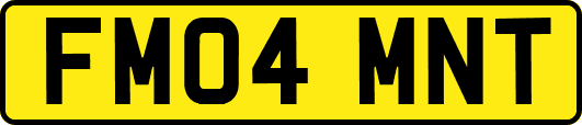 FM04MNT