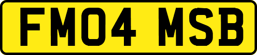 FM04MSB
