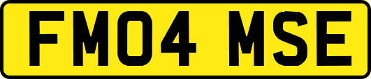 FM04MSE