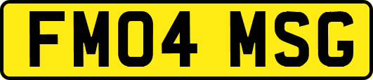 FM04MSG