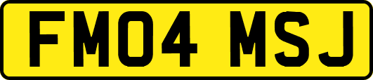 FM04MSJ