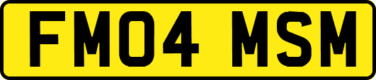 FM04MSM