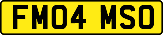 FM04MSO