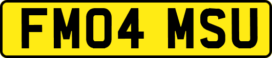 FM04MSU
