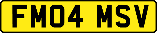 FM04MSV