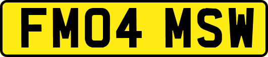 FM04MSW