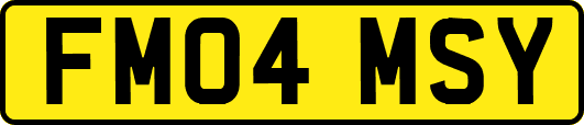 FM04MSY