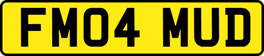 FM04MUD