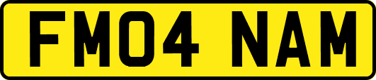 FM04NAM