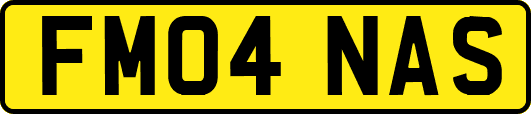 FM04NAS