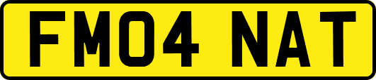 FM04NAT