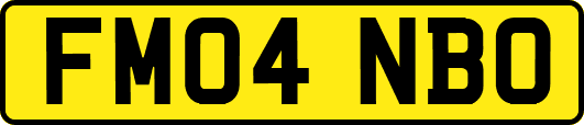 FM04NBO