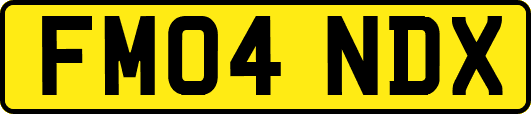 FM04NDX