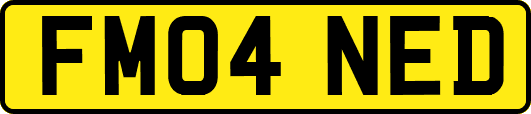 FM04NED