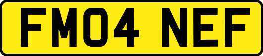 FM04NEF
